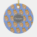 Zoek naar hamsters ornamenten Schattige hamster