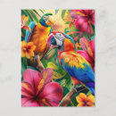 Recherche de oiseaux tropicaux cartes postales Fleurs