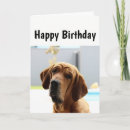 Zoek naar rimpelige hond kaarten Ouderdom