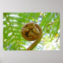 Zoek naar hawaiiaans posters Hawaï