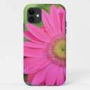 Zoek naar gerberas Mais