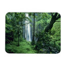 Recherche de côte à côte magnets Hawaïen