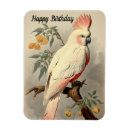 Recherche de tropical anniversaire magnets Pour tous