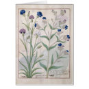 Recherche de testard cartes postales Illumination