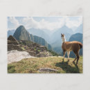 Recherche de picchu de machu vœux cartes Paysage
