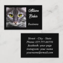 Recherche de noir et blanc chat cartes visite Animal