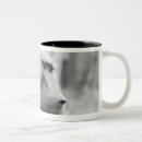 Recherche de de babouin tasses Nature
