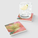 Recherche de coquelicot dessous de verres Photographie