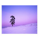 Recherche de photo de grand format posters Hiver