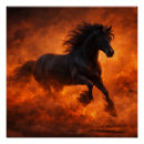 Recherche de étalon noir posters Cheval au galop