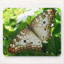 Recherche de jasmin tapis souris Nature