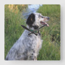 Zoek naar honden klokken Muur