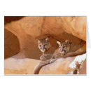 Recherche de cougar vœux cartes Animal