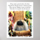 Zoek naar pekingese kunst Schattig