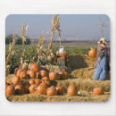 Recherche de épouvantail tapis souris Automne