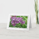 Recherche de fleurs violettes vœux cartes Salutations