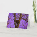 Zoek naar leeg nest kaarten Natuur