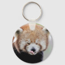 Recherche de pandas rouges porteclés Nature