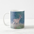 Recherche de whitetail tasses Nature