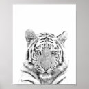 Zoek naar tijger portret posters Wild