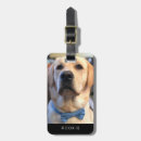 Recherche de golden retriever accessoires Monogramme