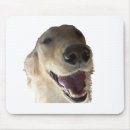 Recherche de mousepad golden retriever tapis souris D'or