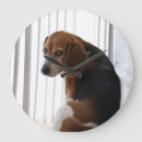 Recherche de seniors horloges Chien