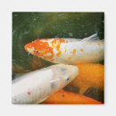 Recherche de koi magnets Animaux