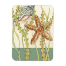 Recherche de étoile magnets Coquillage