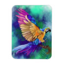 Recherche de perroquets magnets Peinture