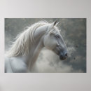 Recherche de étalon posters Équin