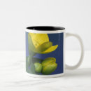 Recherche de bourgeon tasses Pétales