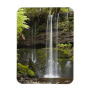 Recherche de savane magnets Pittoresque