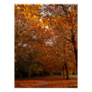 Zoek naar herfstboom posters Natuur