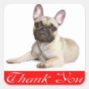 Recherche de chiot bouledogue autocollants Frenchie