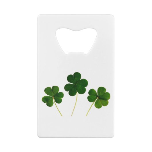 🍀 (Dos)