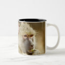 Recherche de de babouin tasses Unité