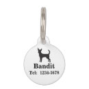 Recherche de chiwawa animaux articles Dogs
