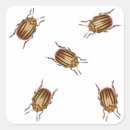 Recherche de insecte mignon autocollants Joyeux