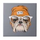 Recherche de bouledogue français carreaux Drôle