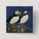 Recherche de deux oiseaux badges Ensemble