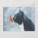 Zoek naar zwarte katten briefkaarten Antiek