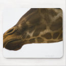 Recherche de tête girafe tapis souris Plan rapproché
