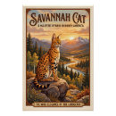 Recherche de race de chat posters Chaton