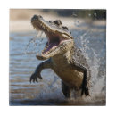 Recherche de effrayants carreaux Monstre