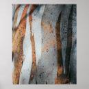 Recherche de arbre de gomme posters Écorce