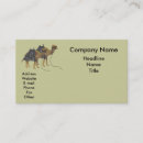 Recherche de chameaux cartes visite Animaux