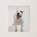 Recherche de partie du corps puzzles Animal