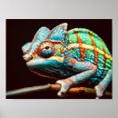 Recherche de panther chameleon posters Caméléon