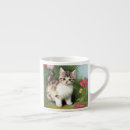 Recherche de illustrations chat tasses Chaton